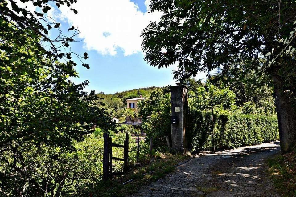 TortoriciValle Maira, Agriturismo Nel Parco Dei Nebrodi别墅 外观 照片
