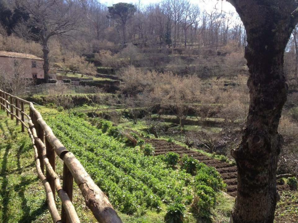 TortoriciValle Maira, Agriturismo Nel Parco Dei Nebrodi别墅 外观 照片