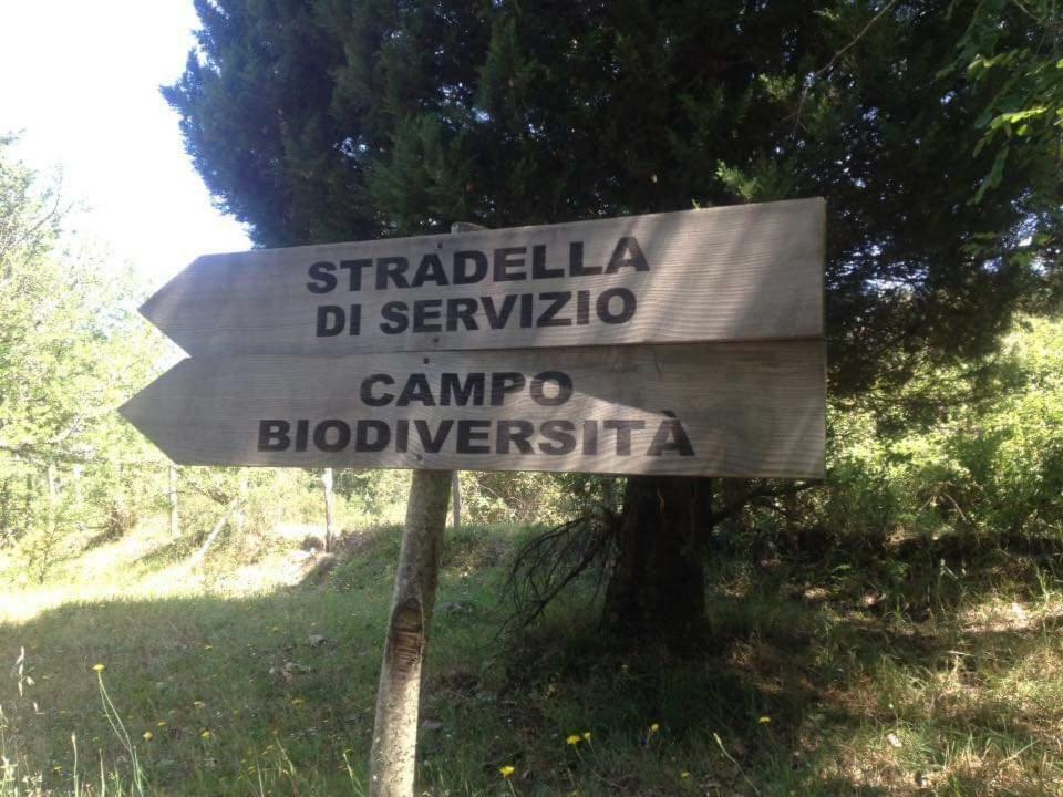 TortoriciValle Maira, Agriturismo Nel Parco Dei Nebrodi别墅 外观 照片