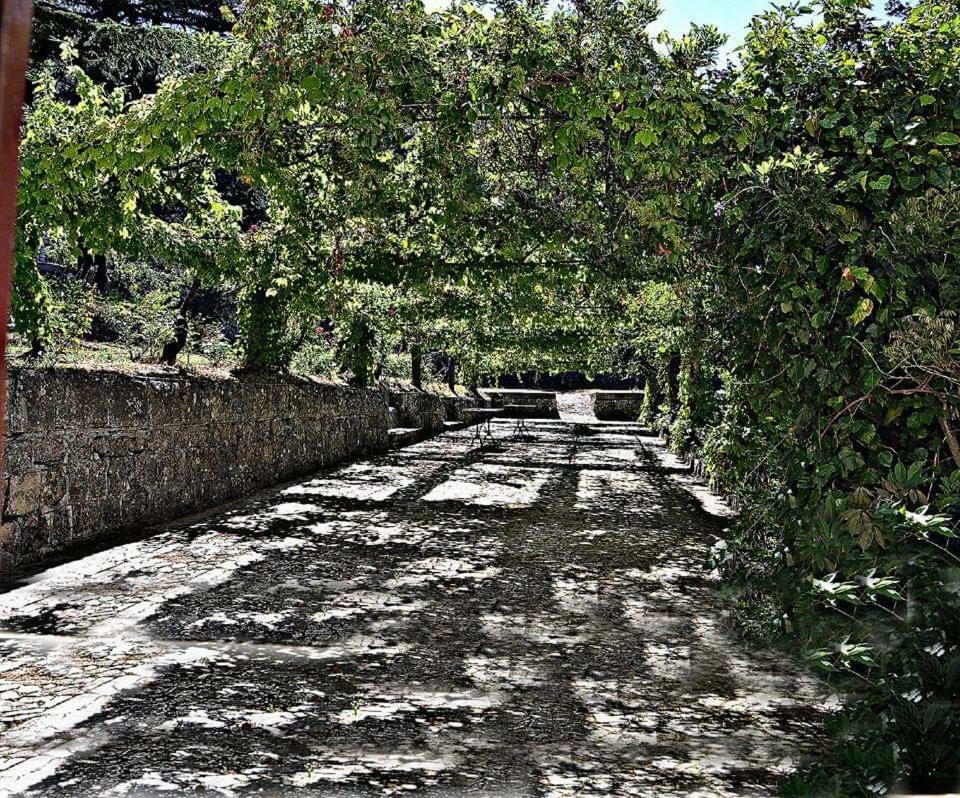 TortoriciValle Maira, Agriturismo Nel Parco Dei Nebrodi别墅 外观 照片