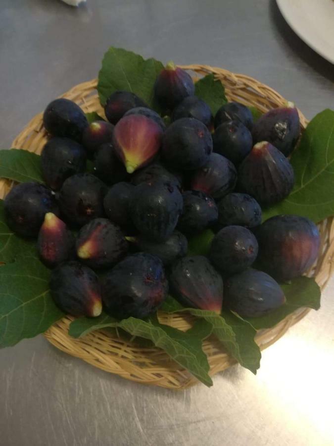 TortoriciValle Maira, Agriturismo Nel Parco Dei Nebrodi别墅 外观 照片